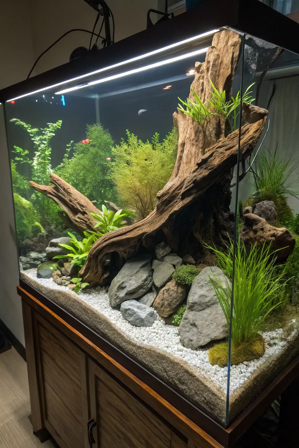 Craft your own riverbed paradise with this stunning aquascape setup.