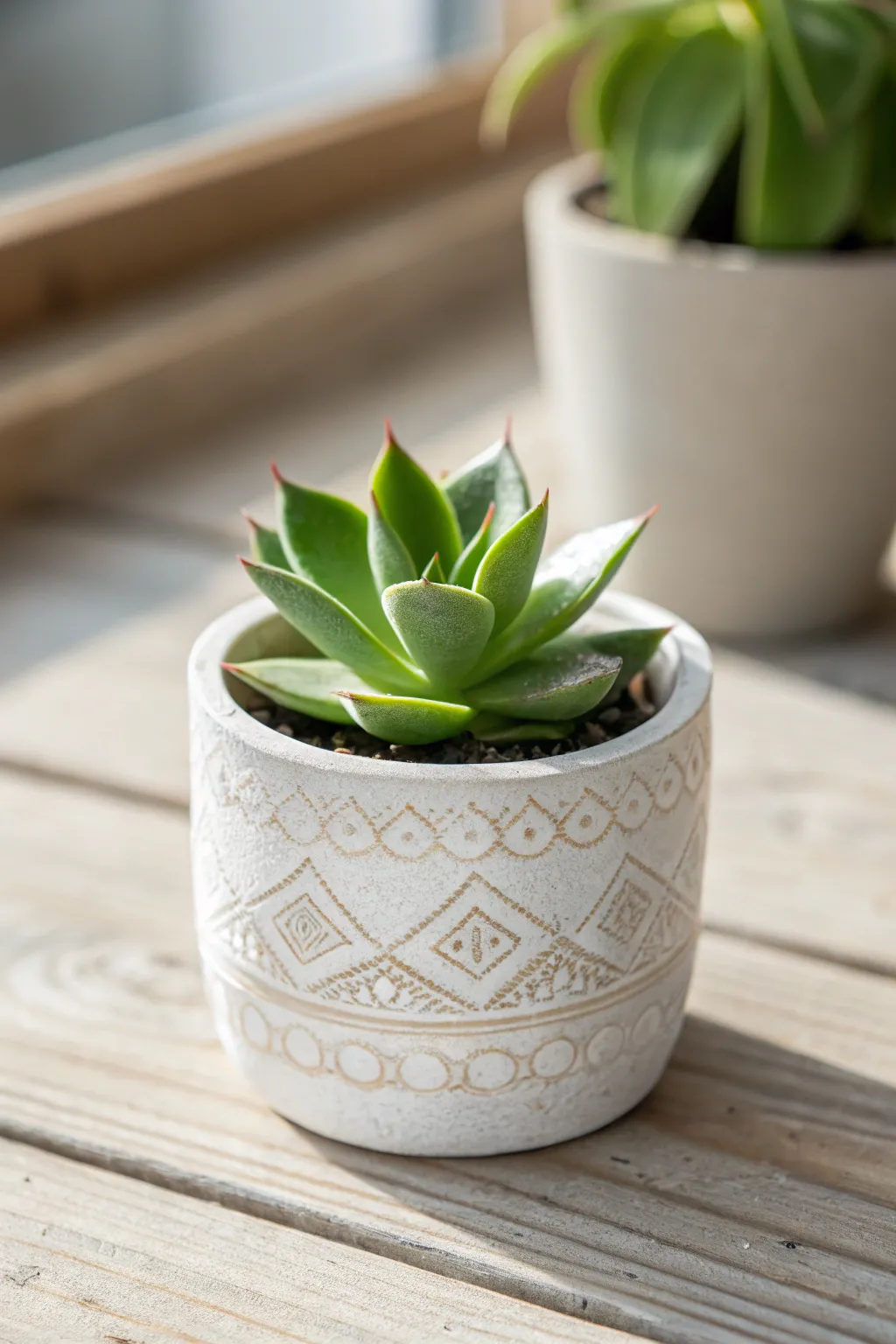 Capture the essence of growth and love with a charming mini succulent planter—a perfect touch of nature for any space.