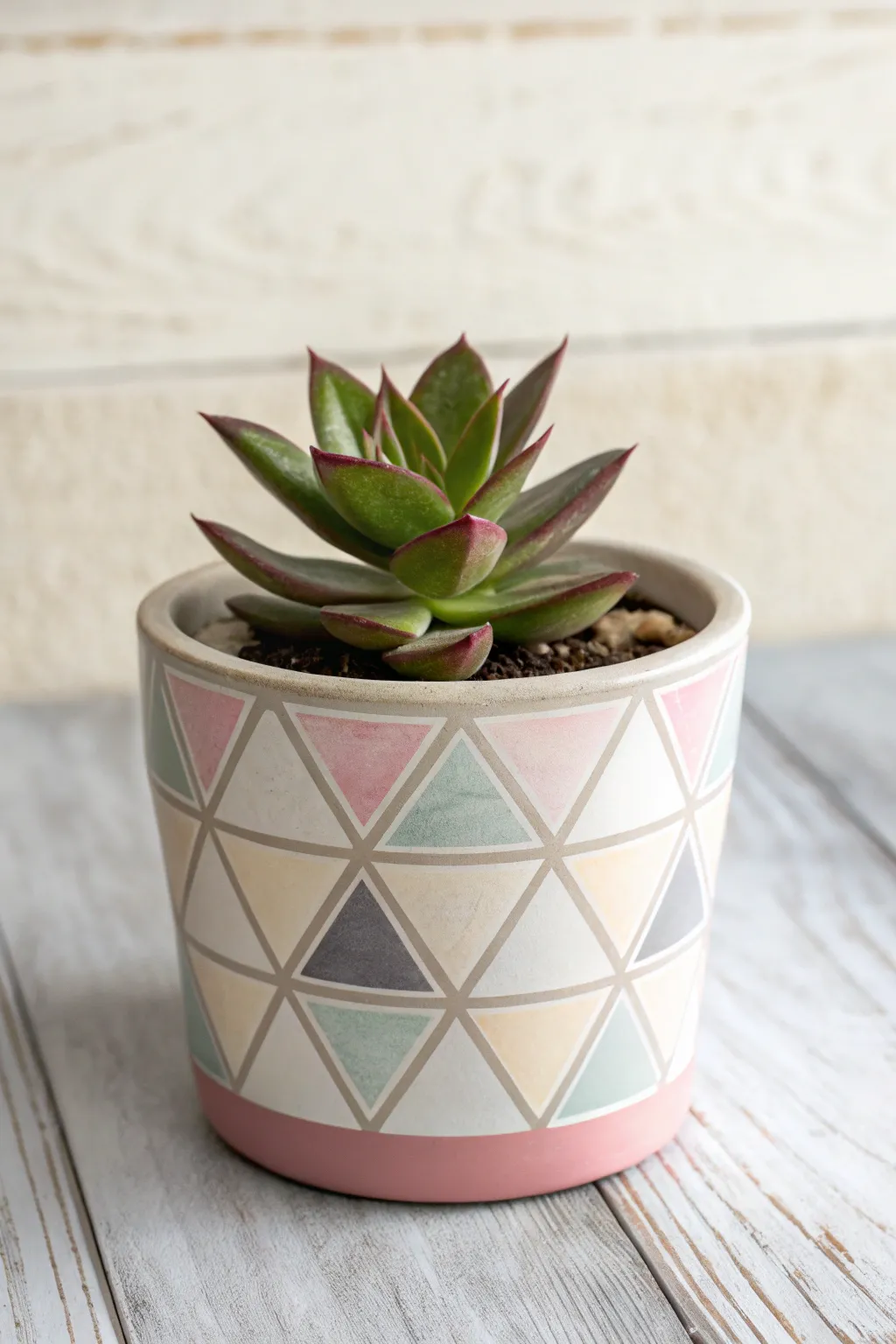 Transform your succulent pot with geometric elegance and a modern touch!
