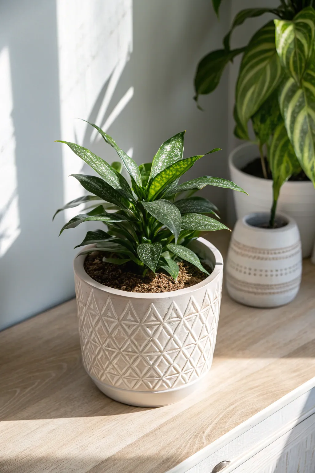 Secret Garden: Hide your keys in style with this crafty plant trick.