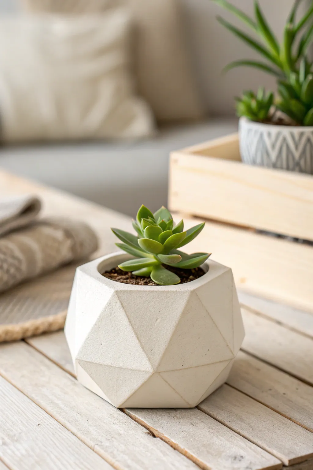 Embrace simplicity with this charming geometric clay planter, perfect for your favorite succulents.