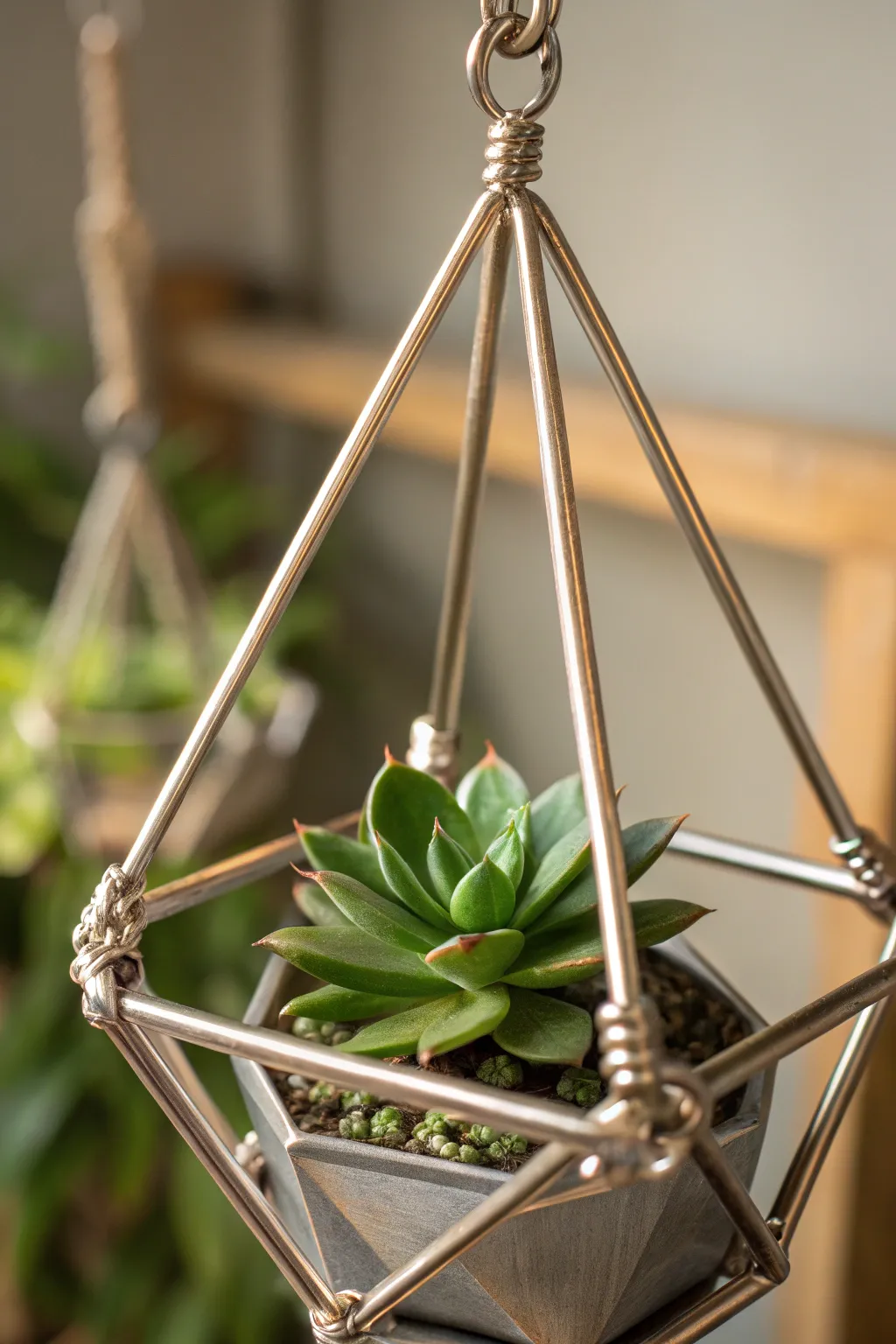 Elevate your greenery with handcrafted elegance — a perfect blend of nature and metalwork.