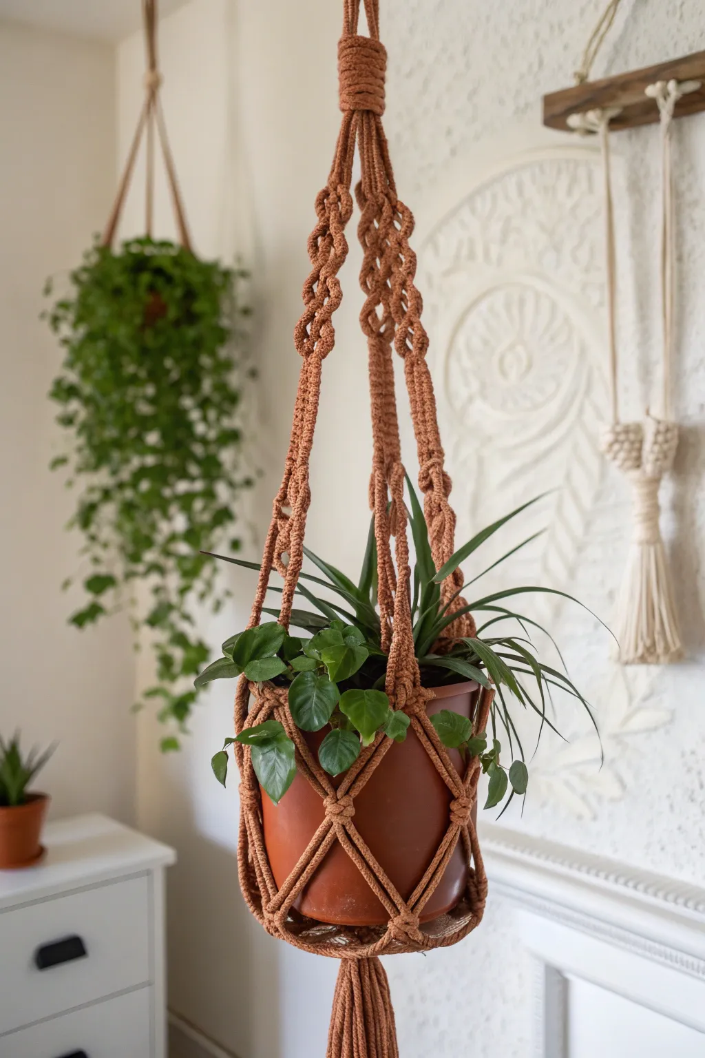 Elevate your plant display with this stunning boho plant hanger, where craftsmanship meets nature's elegance.