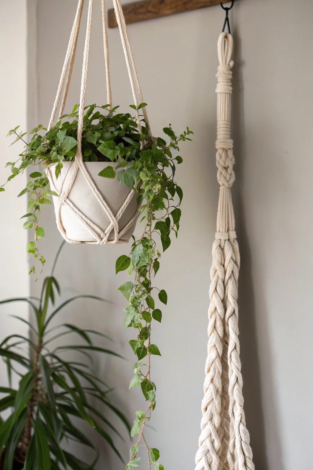 Transform old sweatshirts into chic plant hangers for a touch of greenery and personal style in your home.