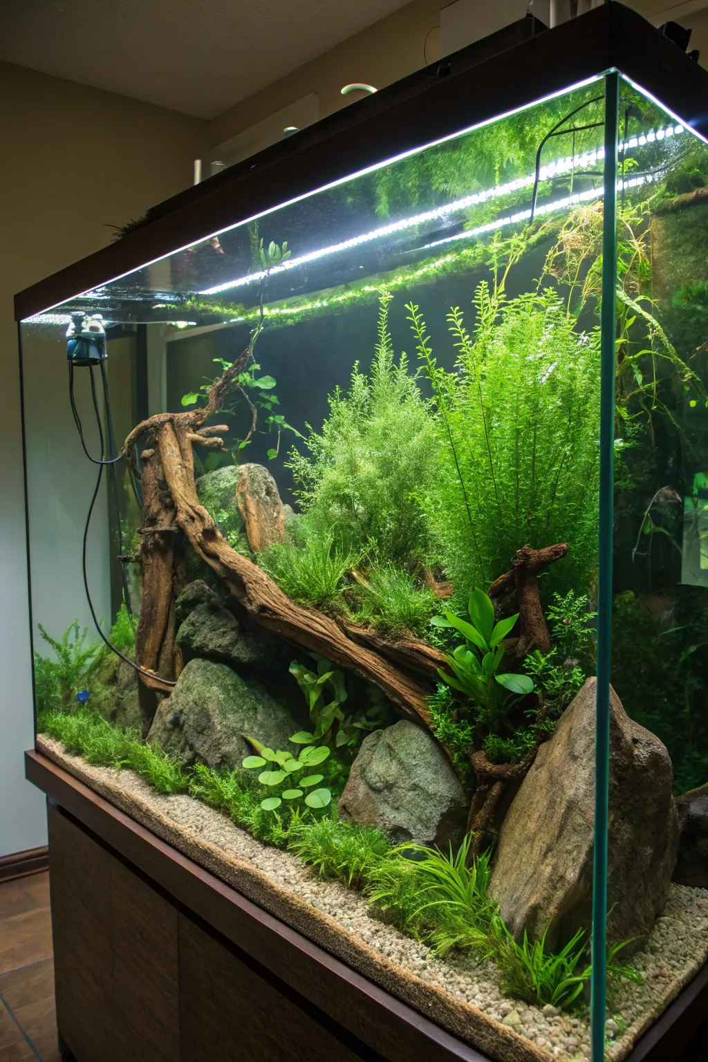 Embark on a Jungle Adventure: Dive into the lush, untamed beauty of this expertly crafted aquarium setup.