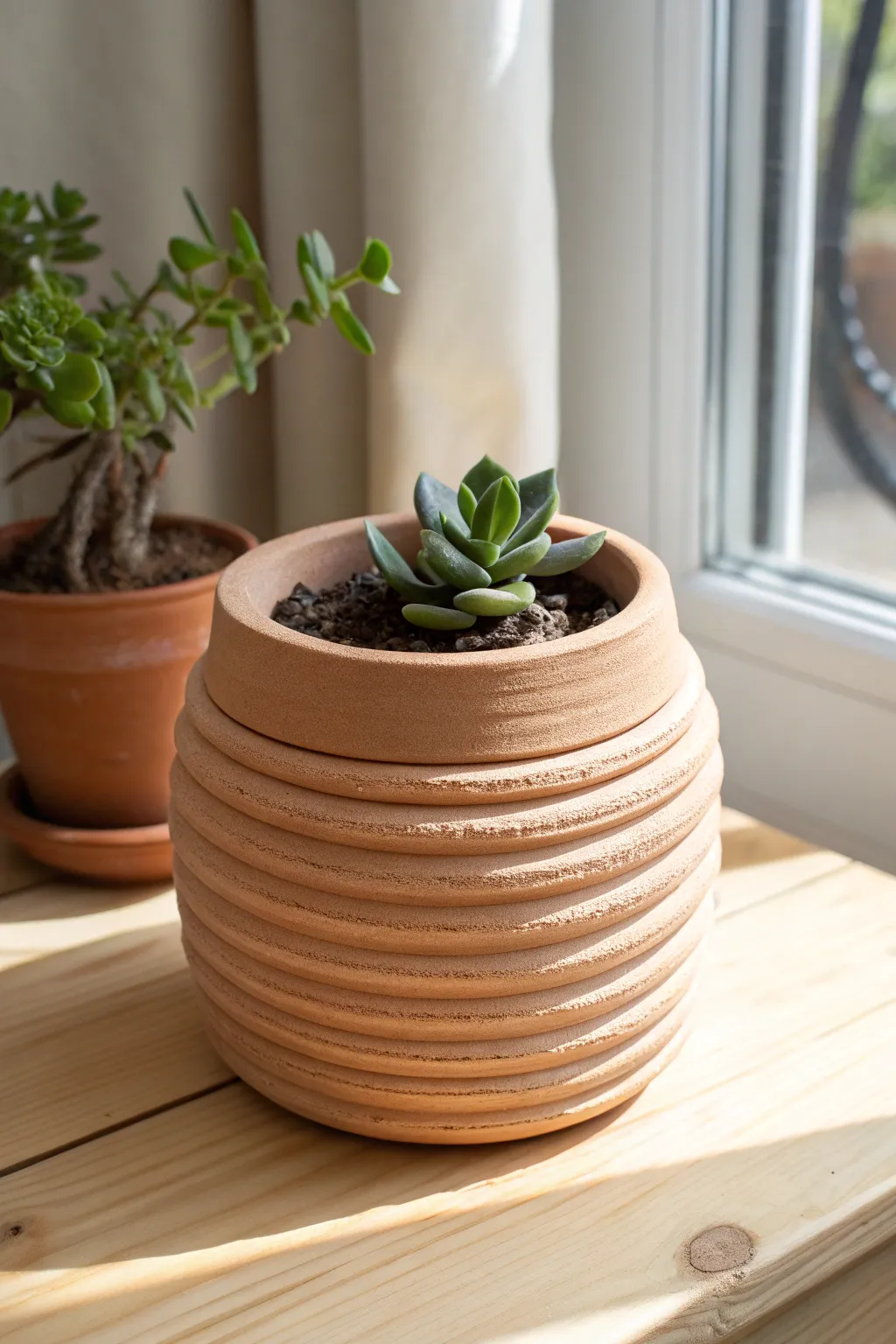 Elevate your space with the timeless charm of a handcrafted clay coil pot, perfect for showcasing your favorite greenery.