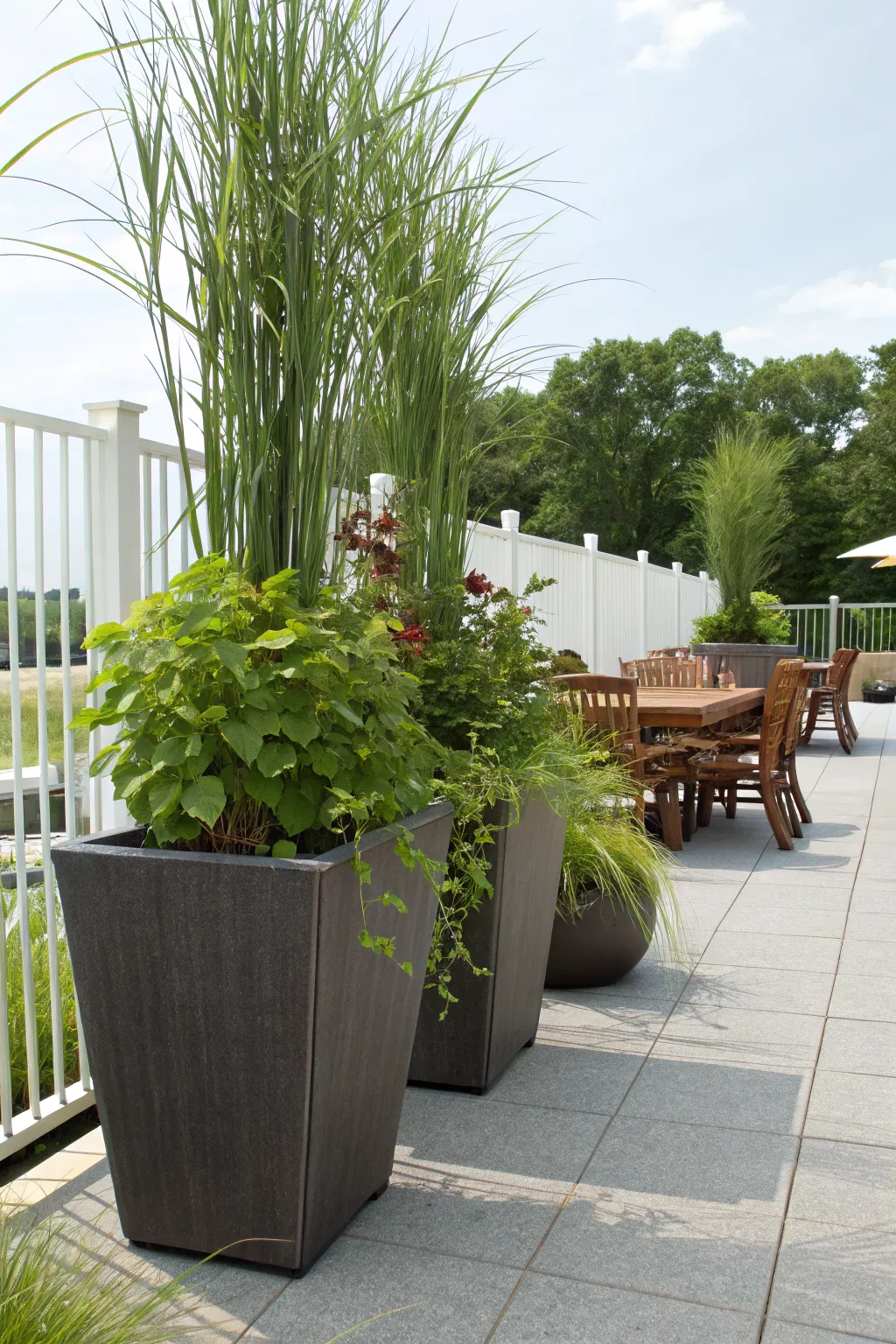 Portable planters provide adjustable privacy solutions.