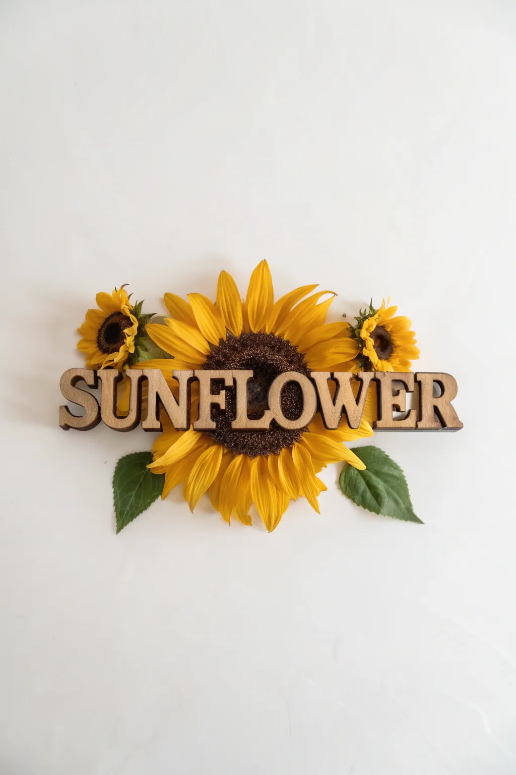 Floral typography with sunflower petal integration.