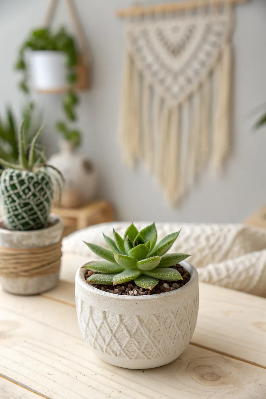Add a touch of green elegance to your Christmas goodie bags with a tiny succulent that embodies simplicity and natural beauty.