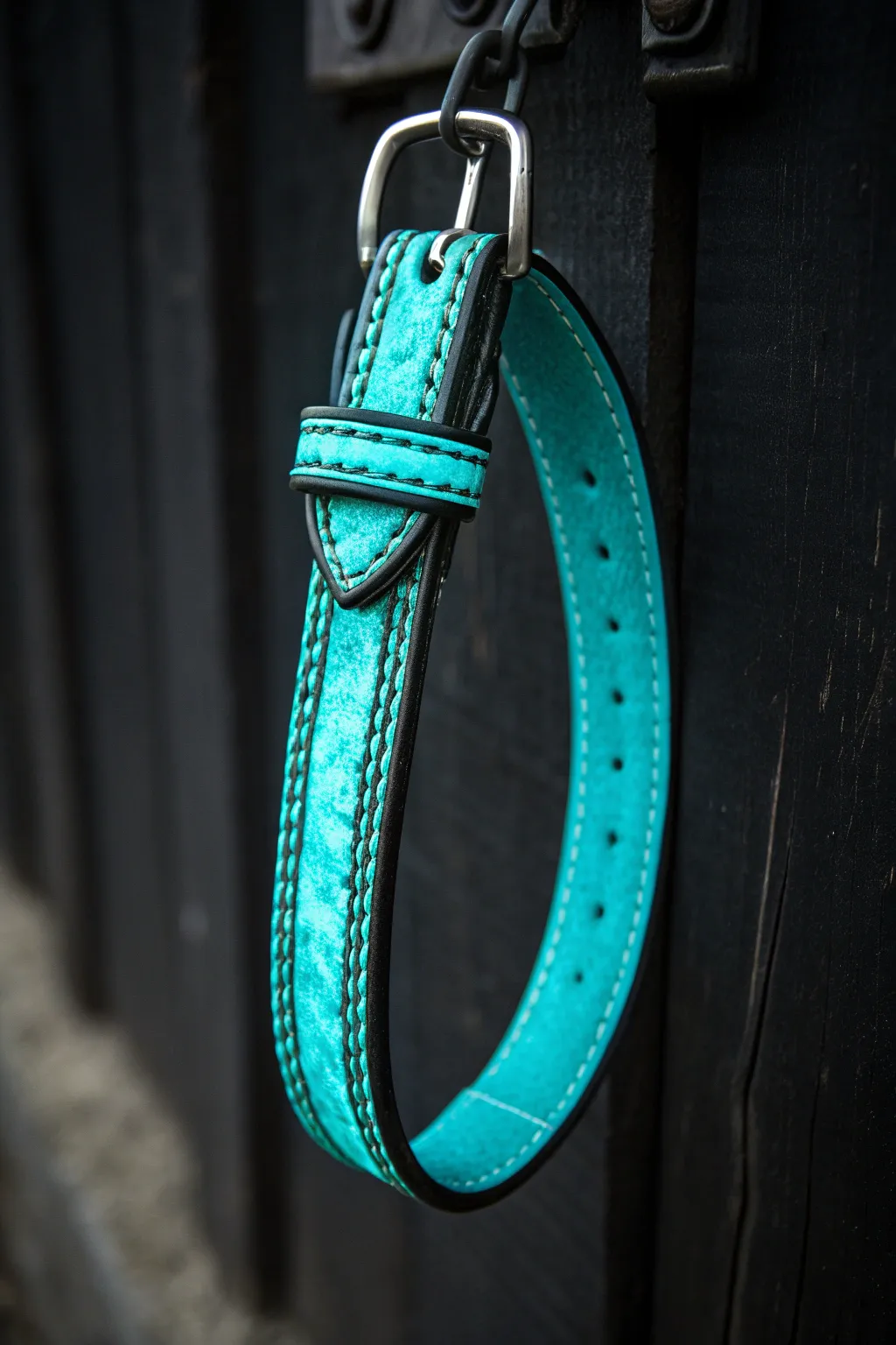 Illuminate your pet's safety with a touch of style—glow-in-the-dark collars for nighttime adventures!