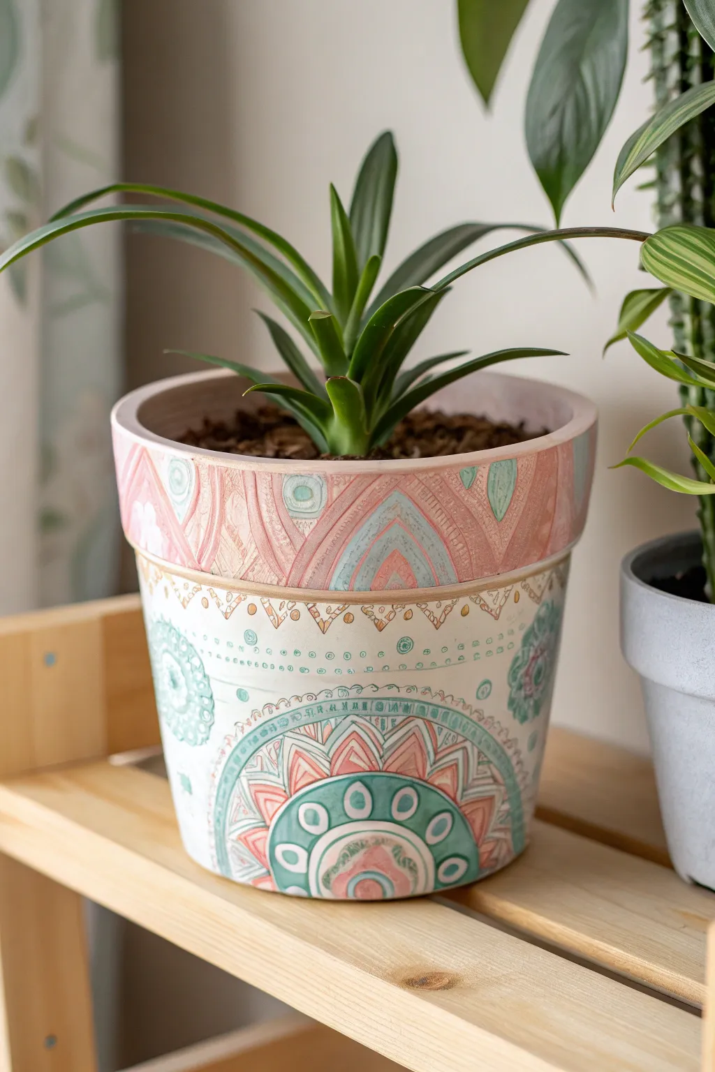 Transform your space with vibrant painted planters - where simplicity meets boho charm.