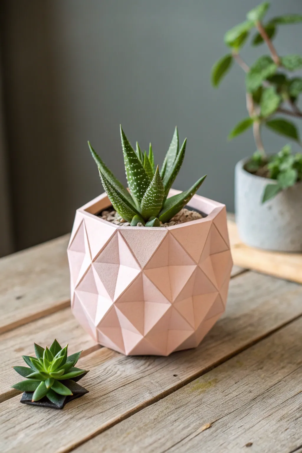 Elevate your decor with a chic geometric origami planter—where Scandinavian minimalism meets boho elegance.