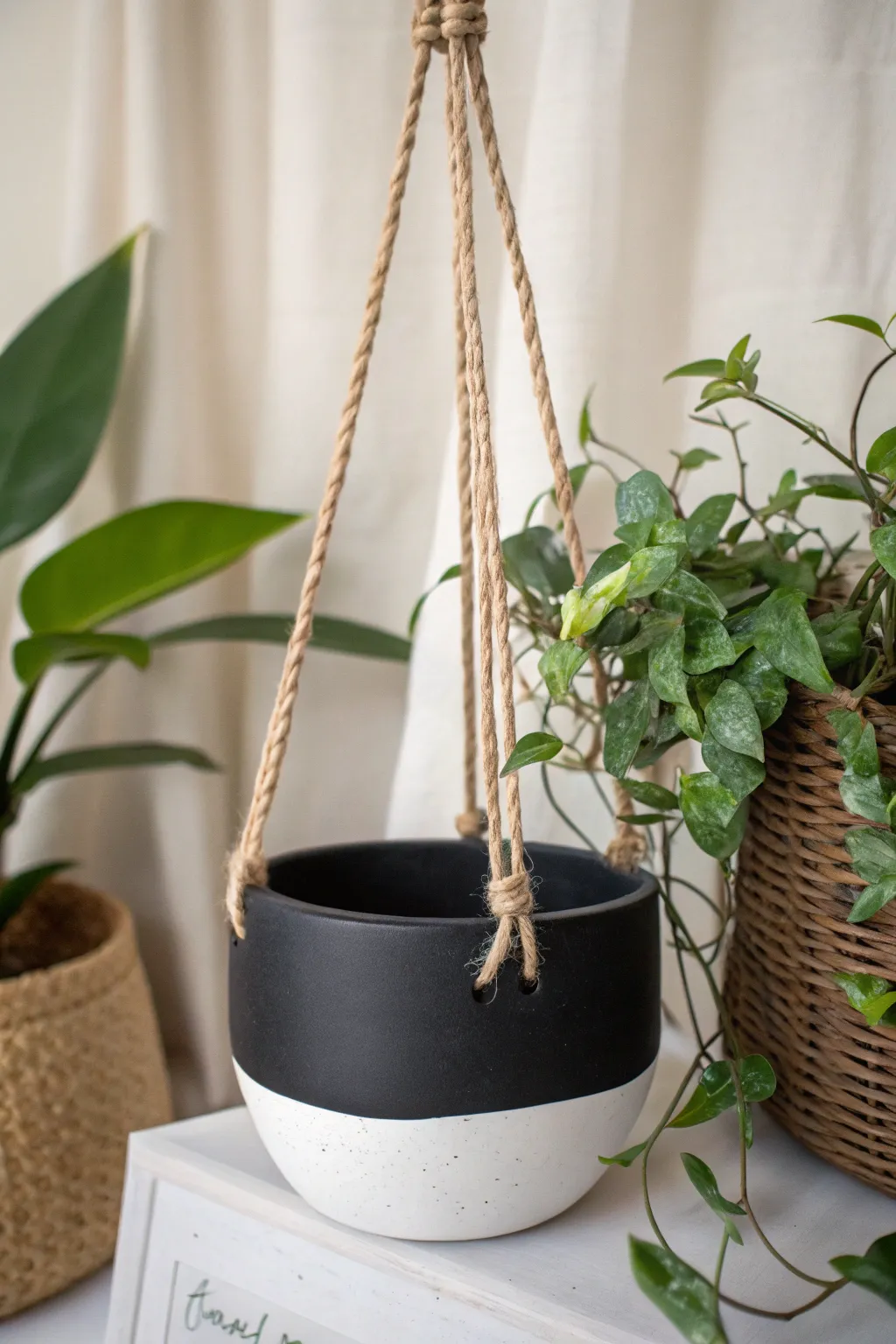Elevate your space with minimalist monochrome elegance. 🌿