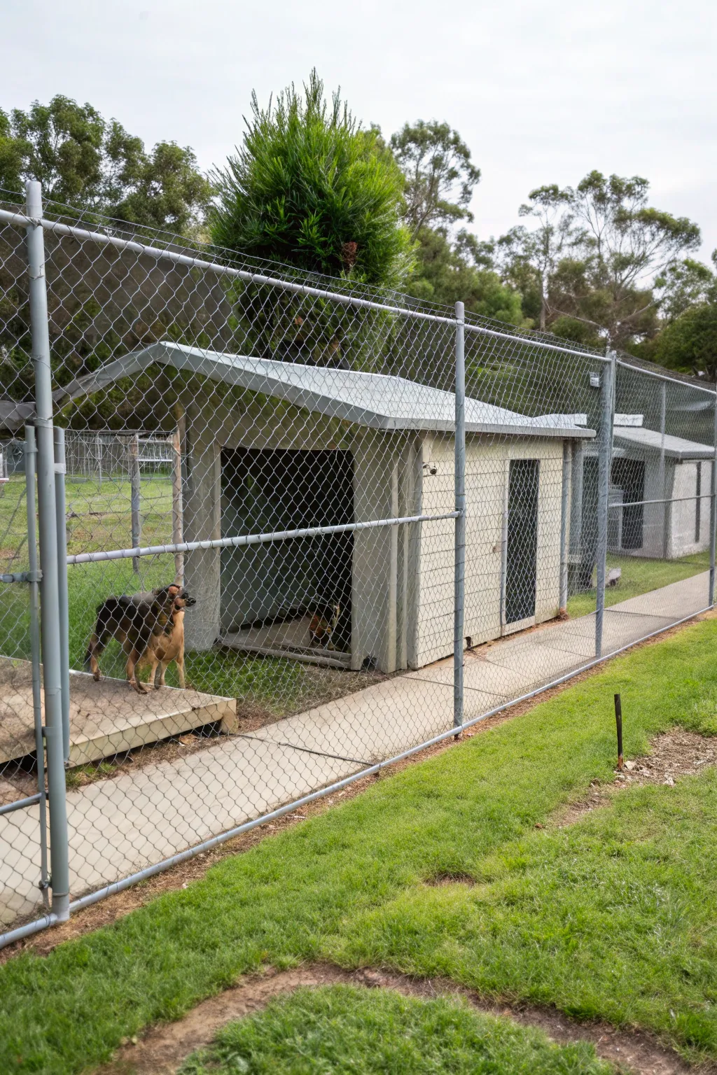 Secure fencing provides safety and freedom for outdoor play.