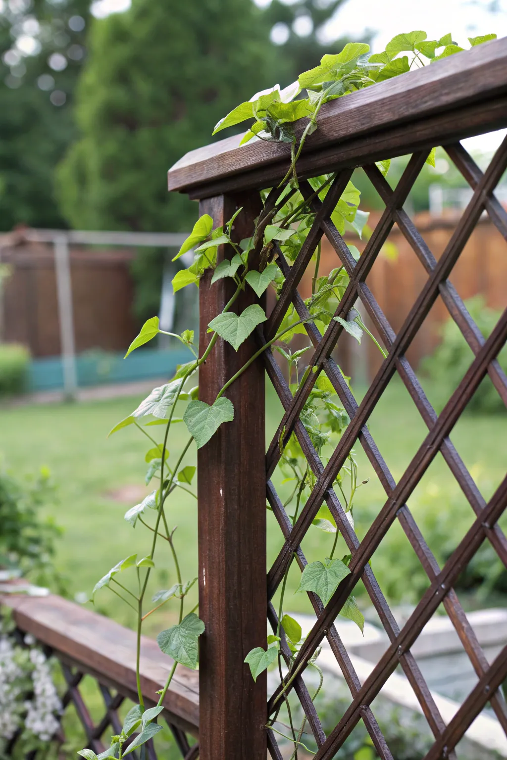 Elevate your fence with a touch of craftsmanship and nature's beauty.