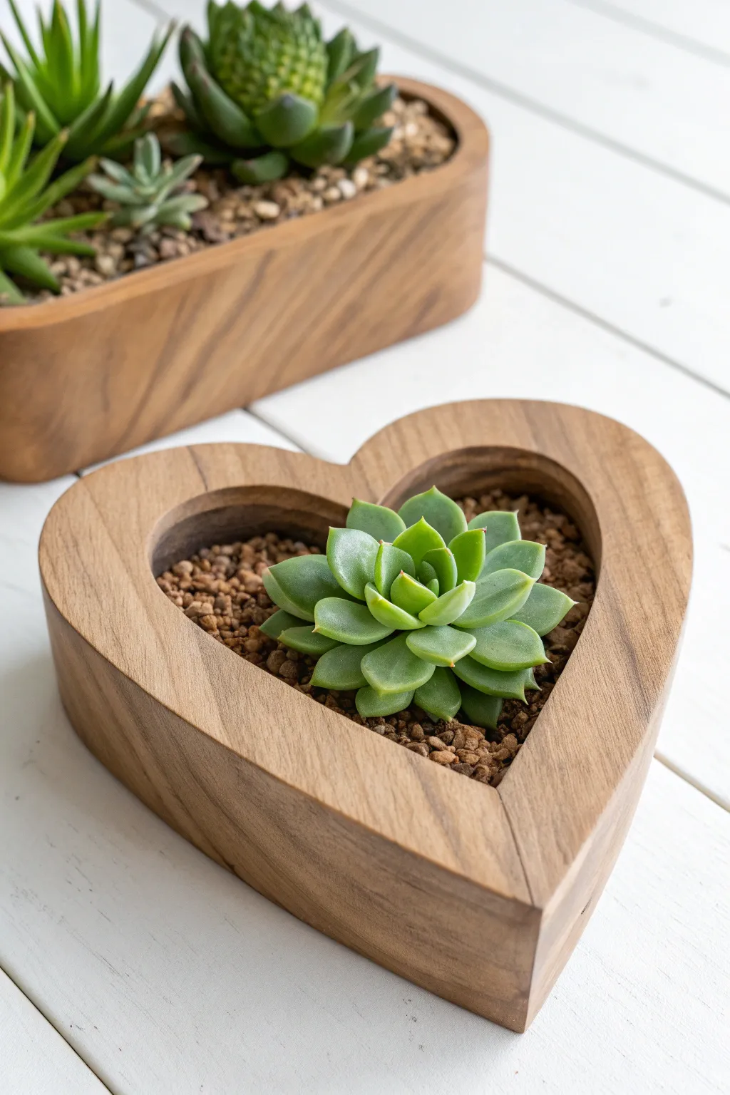 Bring a touch of nature into your home with a minimalist wooden heart planter.