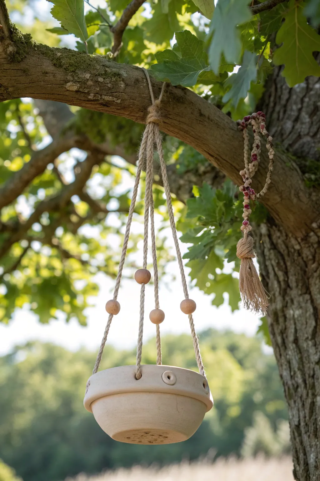 Welcome nature's guests with a charming coil pot bird feeder, where simplicity meets elegance.