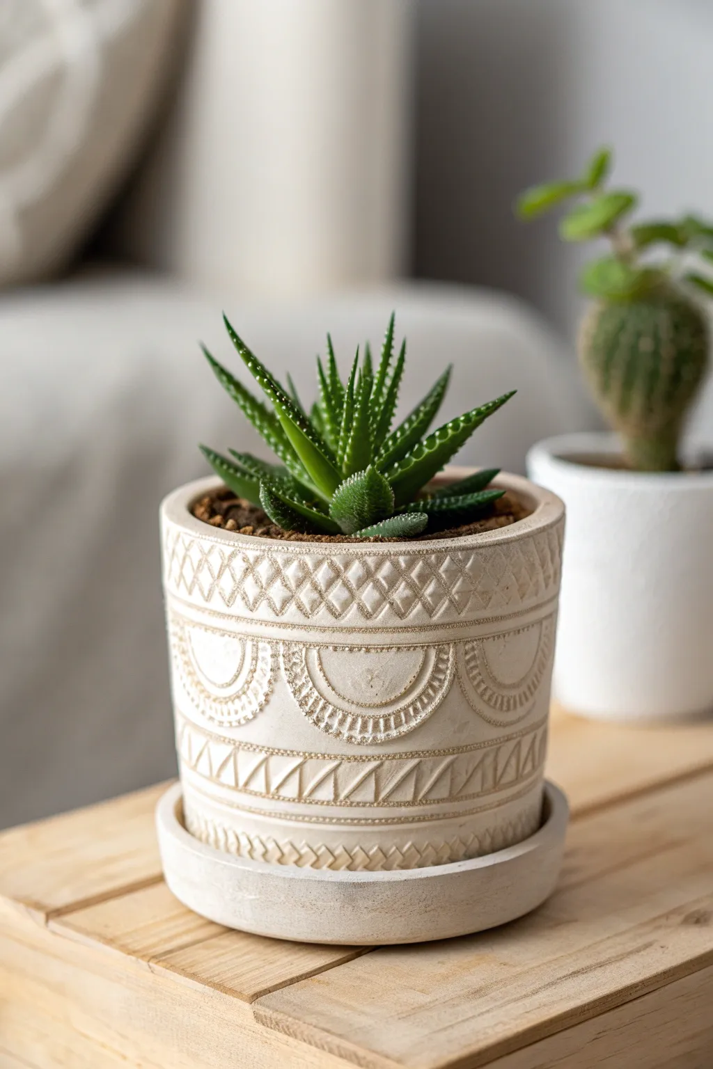 Elevate your plant collection with handcrafted ceramics that blend simplicity and natural beauty.