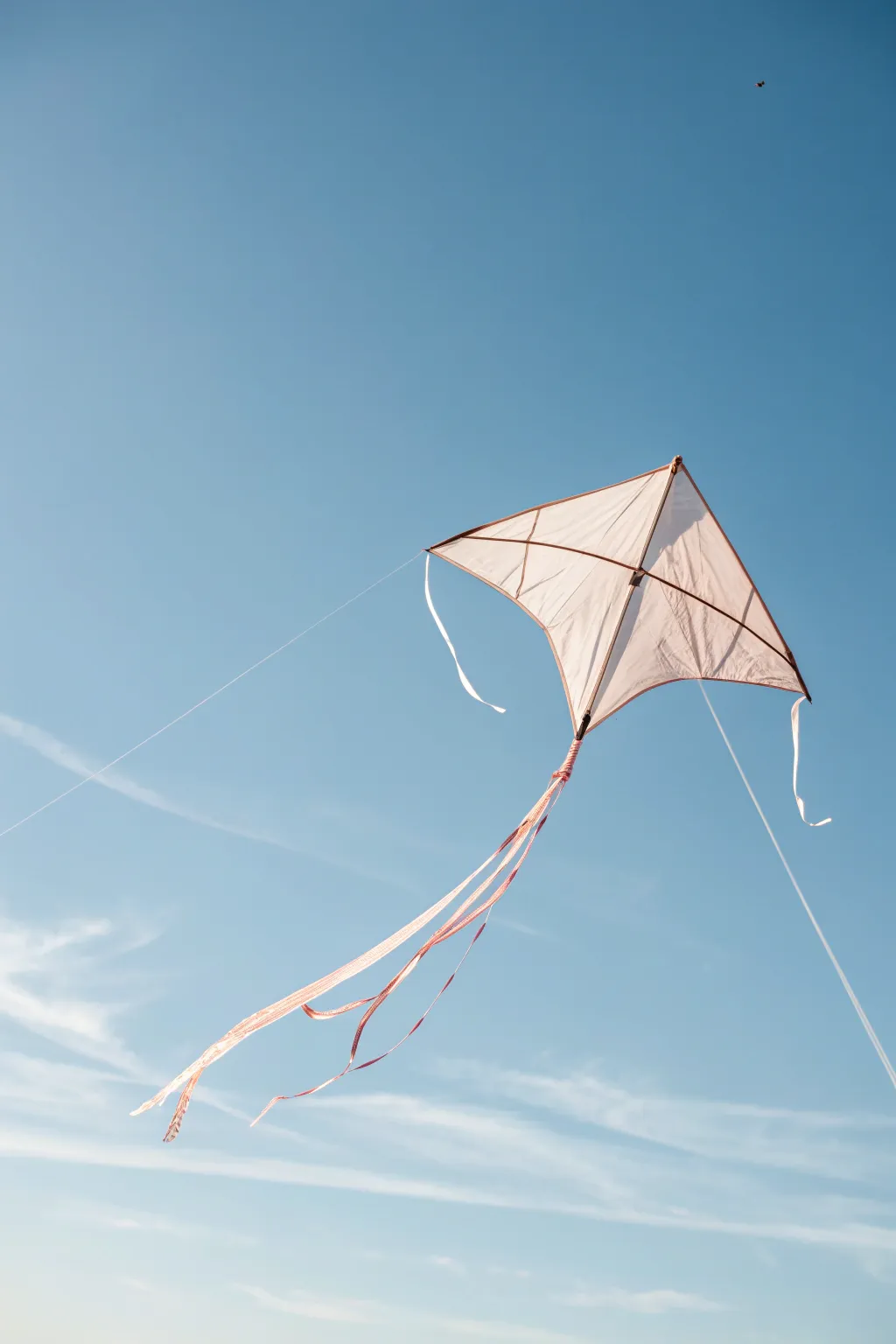 Embrace the beauty of simplicity with this minimalist kite design.
