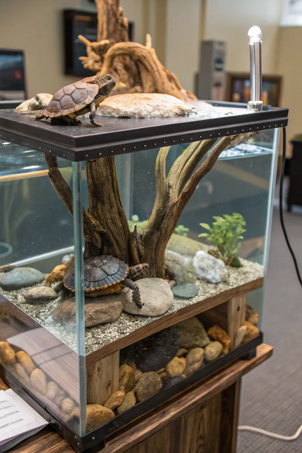 Innovative platforms merging art and utility in turtle habitats.