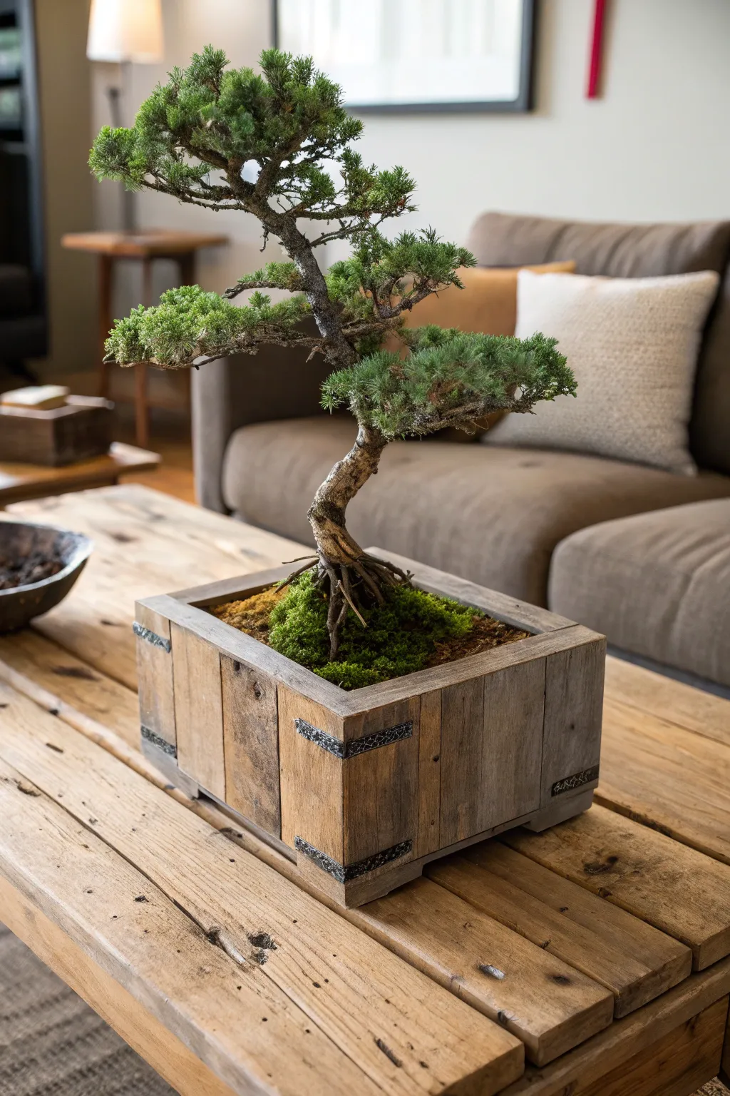 Bonsai in a reclaimed wood planter for a rustic, eco-friendly look