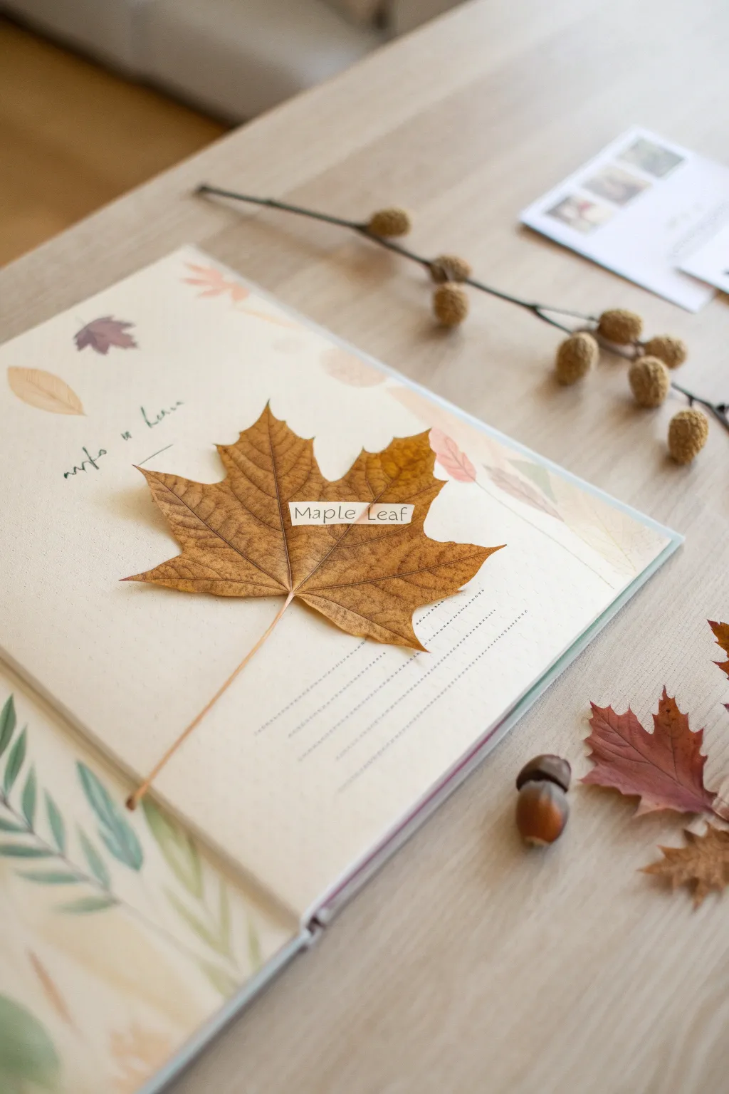 Capture memories with nature's touch: A minimalistic scrapbook page featuring a pressed maple leaf.
