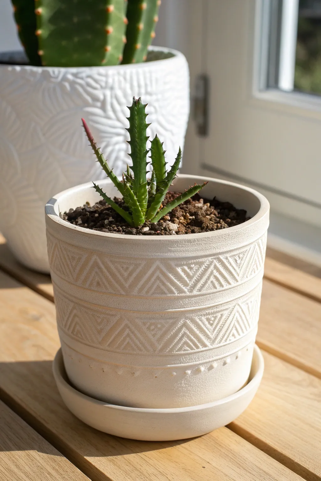 Unlock the secret garden: A pot that reveals hidden messages with every new leaf.