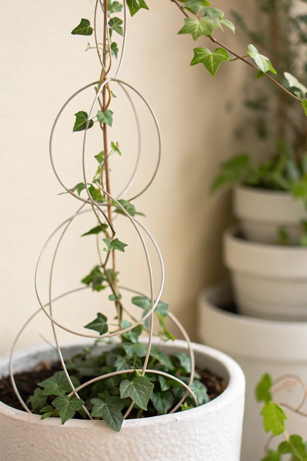 Bring a whimsical touch to your space with this enchanting wire circle trellis.