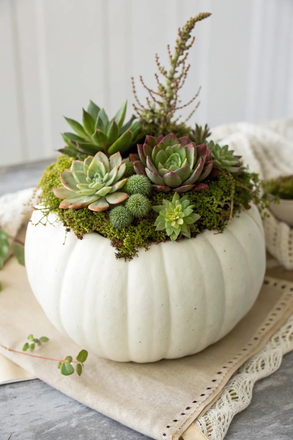 Elevate your autumn decor with this chic succulent pumpkin centerpiece—perfect for a fresh and trendy vibe.