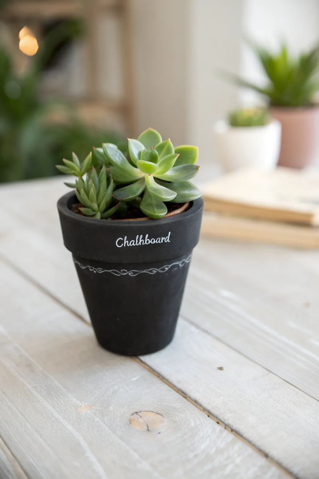 Personalize with love: A chic chalkboard planter for your favorite teacher's desk.