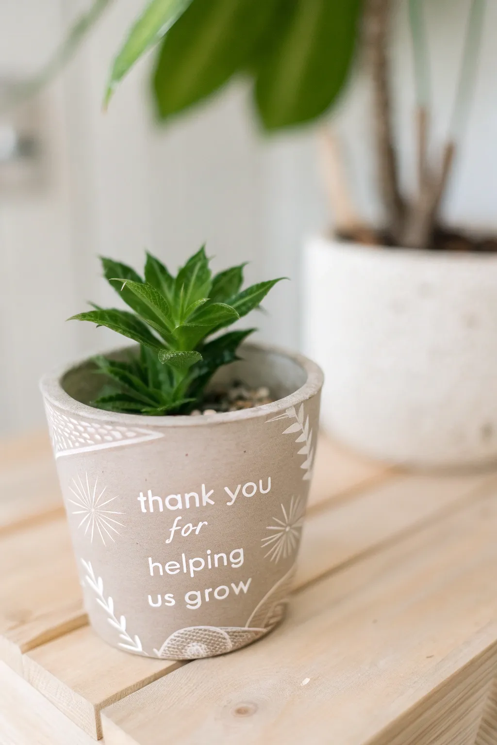 A heartfelt token of appreciation—letting teachers know they've helped us grow.