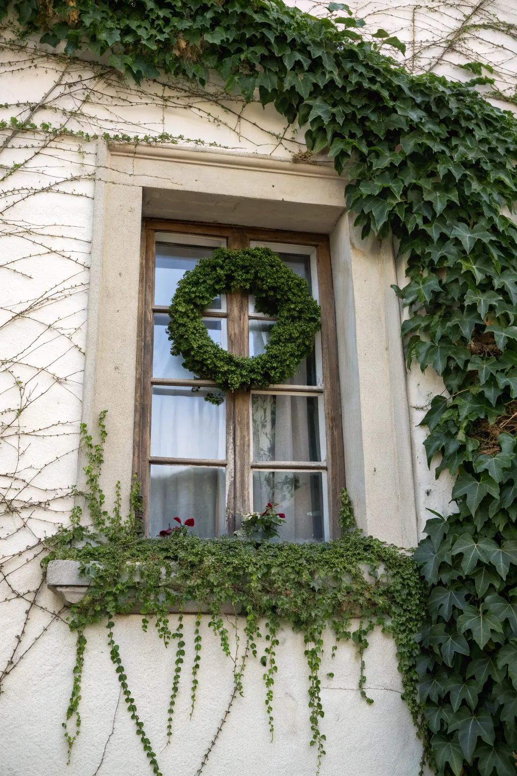 Greenery adds a fresh, natural touch to window frame decor.