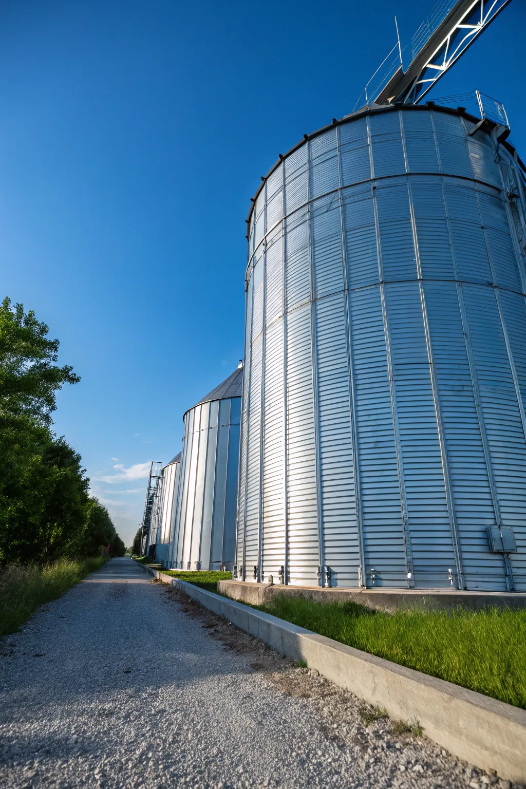 Elevate your grain storage game with industrial strength and style.