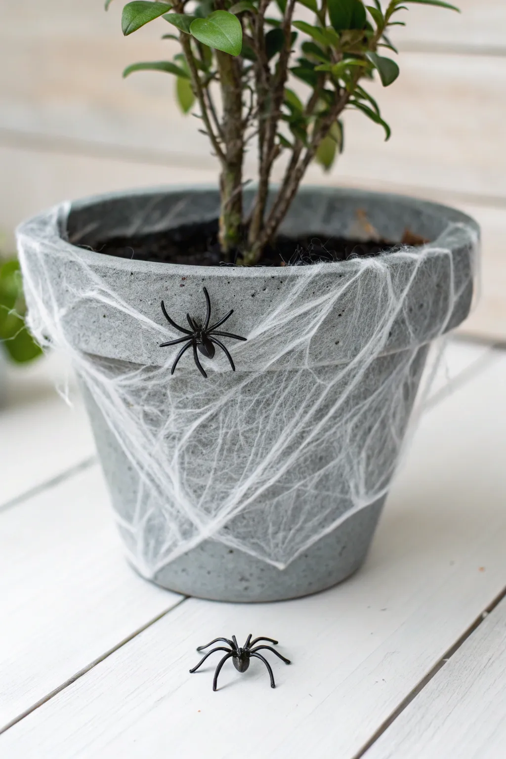 Transform your garden into a chic spooky scene with these elegant Spider Web Pots!