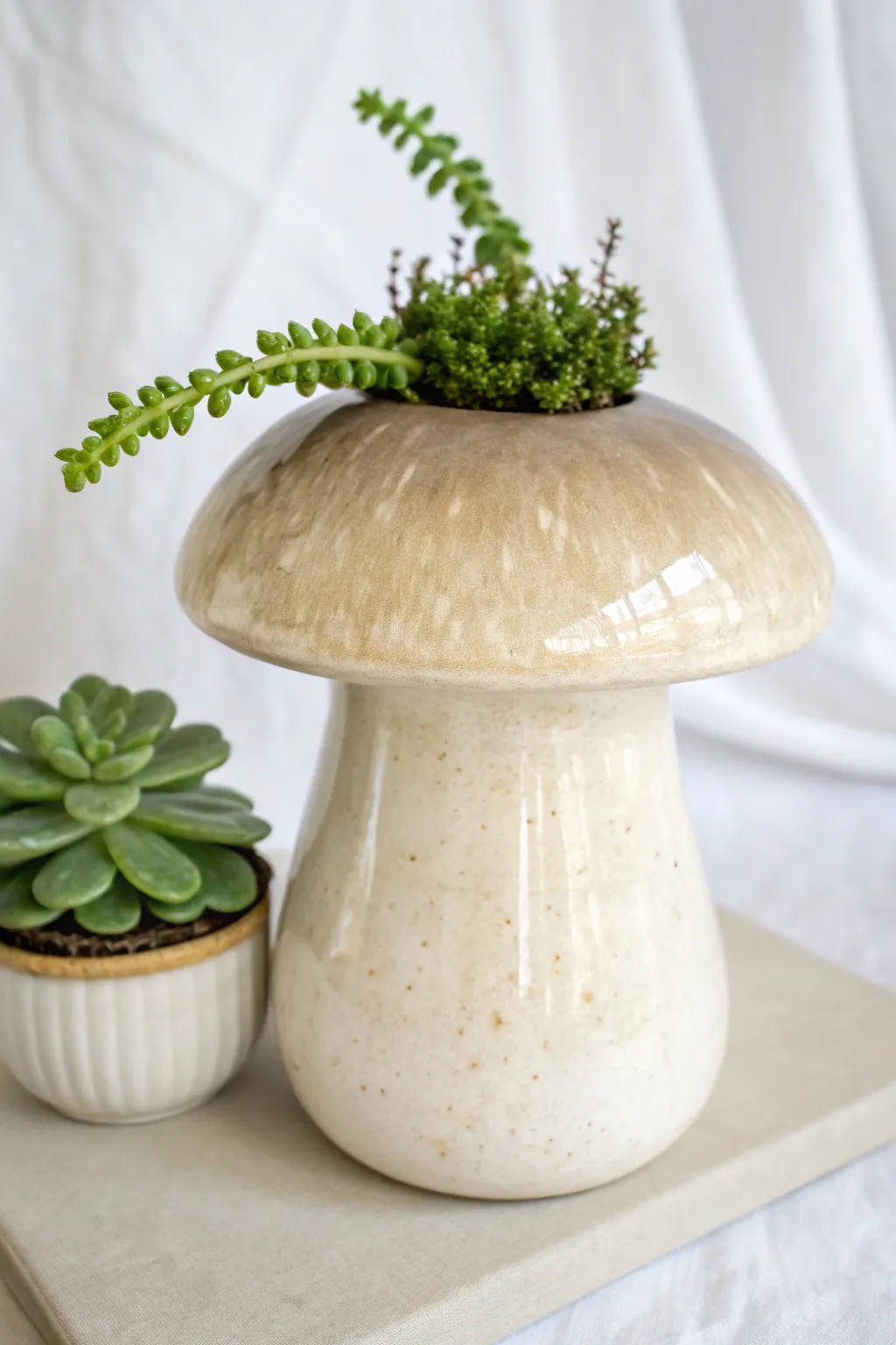 Elevate your space with this charming ceramic mushroom planter, where simplicity meets natural beauty.