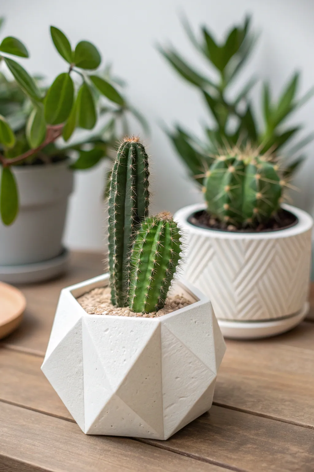 Elevate your greenery game with these unique 3D printed plant holders, where minimalism meets artistry.