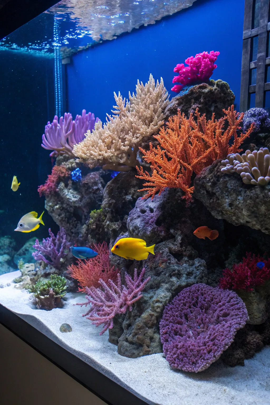 Transform your space with a captivating coral reef aquarium, where vibrant colors and oceanic wonders come to life.