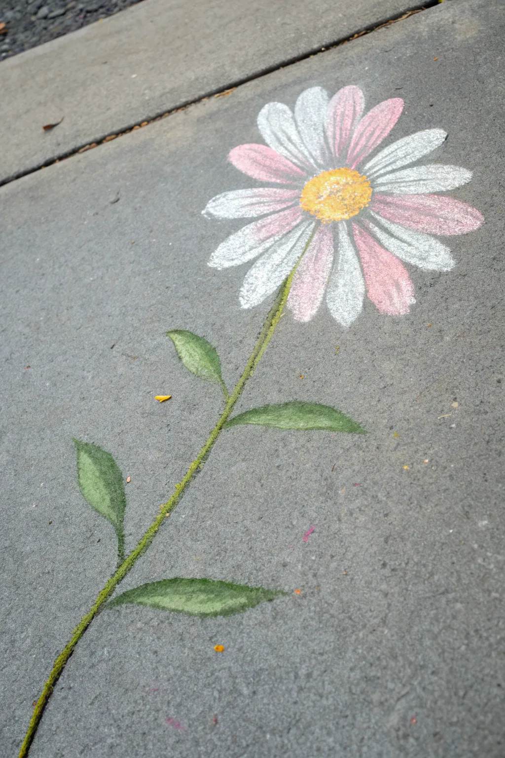 Embrace nature's charm with simple, vibrant chalk art. #FlowerPower #ChalkArt #MinimalistBeauty
