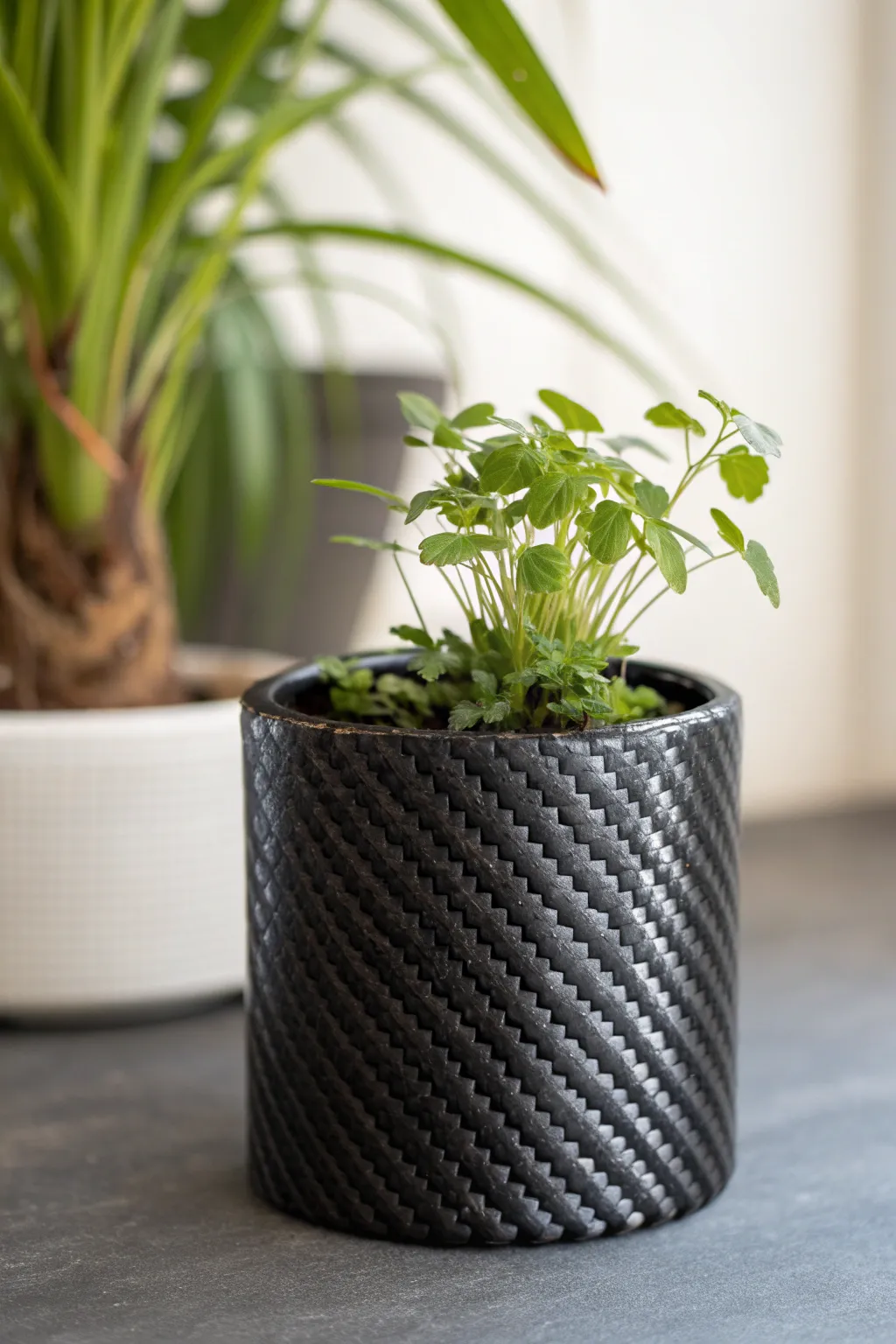 Elevate your space with the sleek elegance of carbon fiber plant holders.