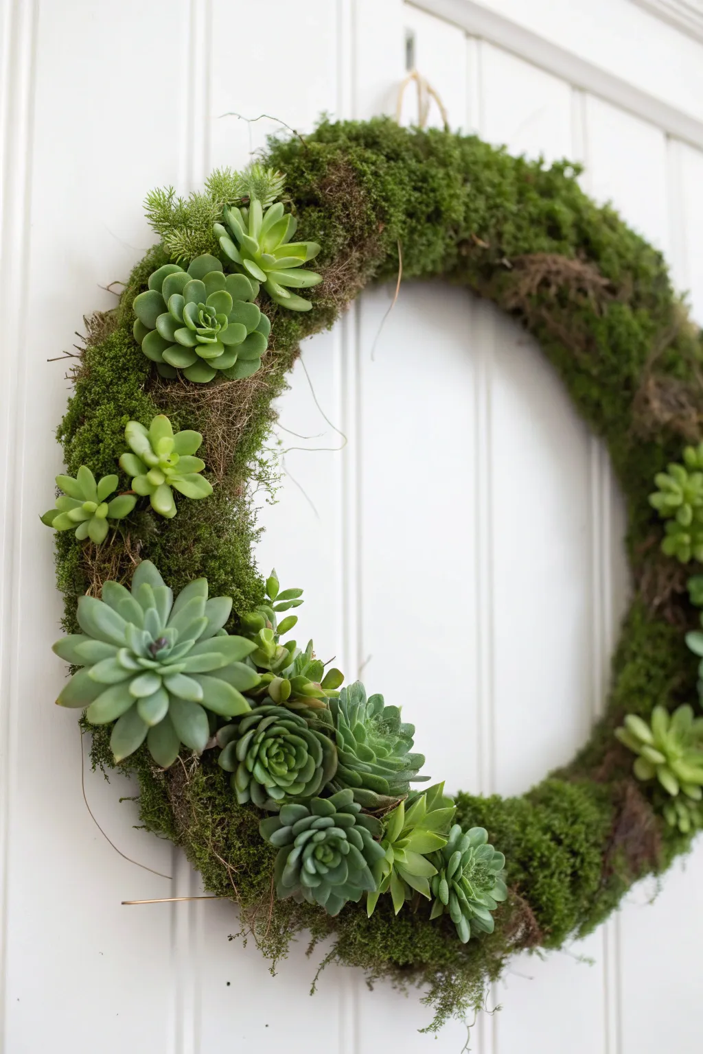 Embrace nature's elegance with this DIY moss wreath adorned with charming succulents. Effortlessly bring a touch of greenery indoors!