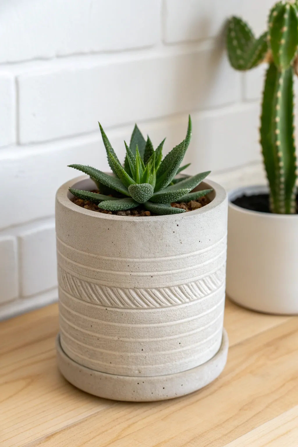Embrace simplicity with beautifully crafted plant holders that elevate your space. #PotteryBeginnings #ScandiBoho