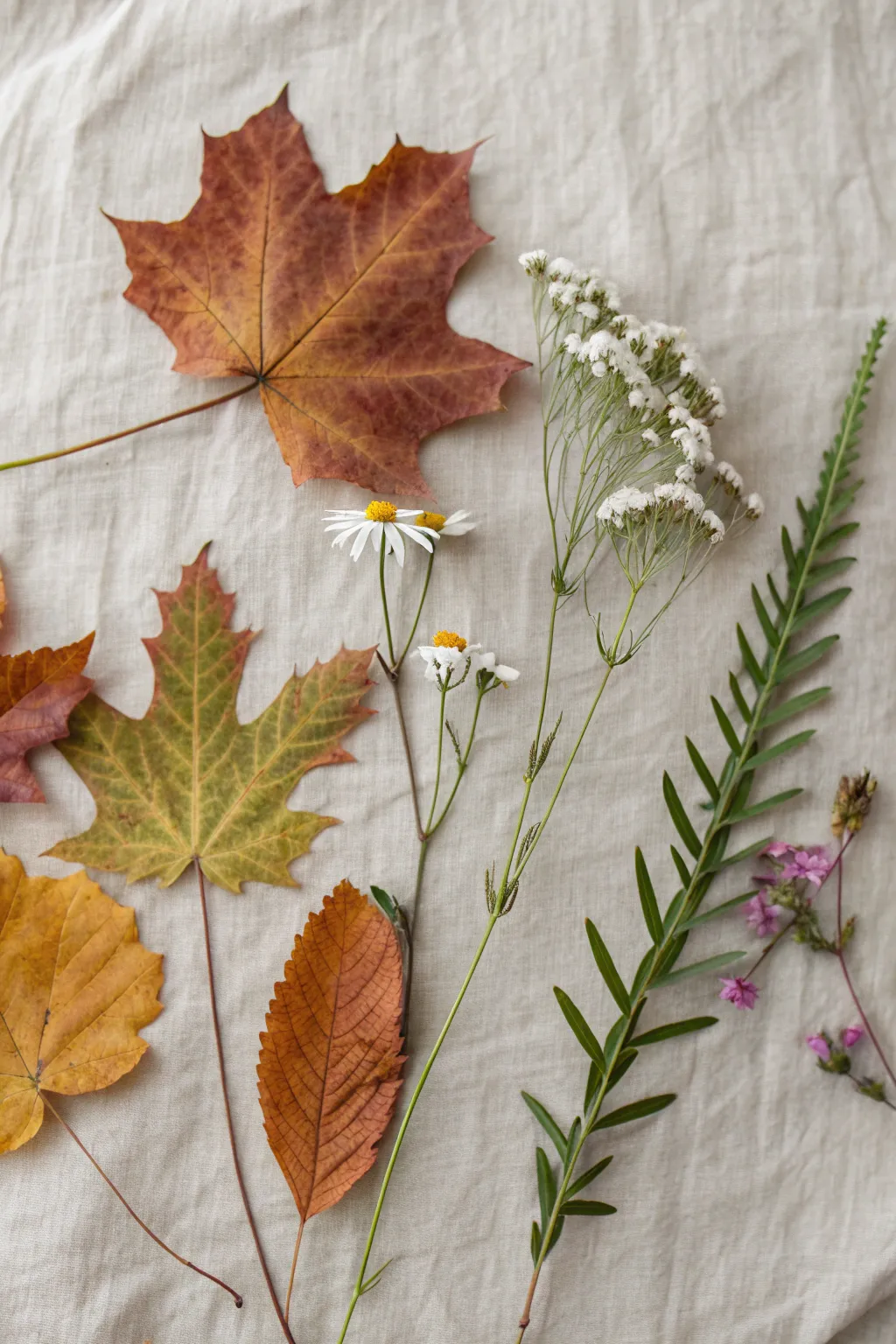 Embrace nature's simplicity with a stunning collage that brings the outdoors in.