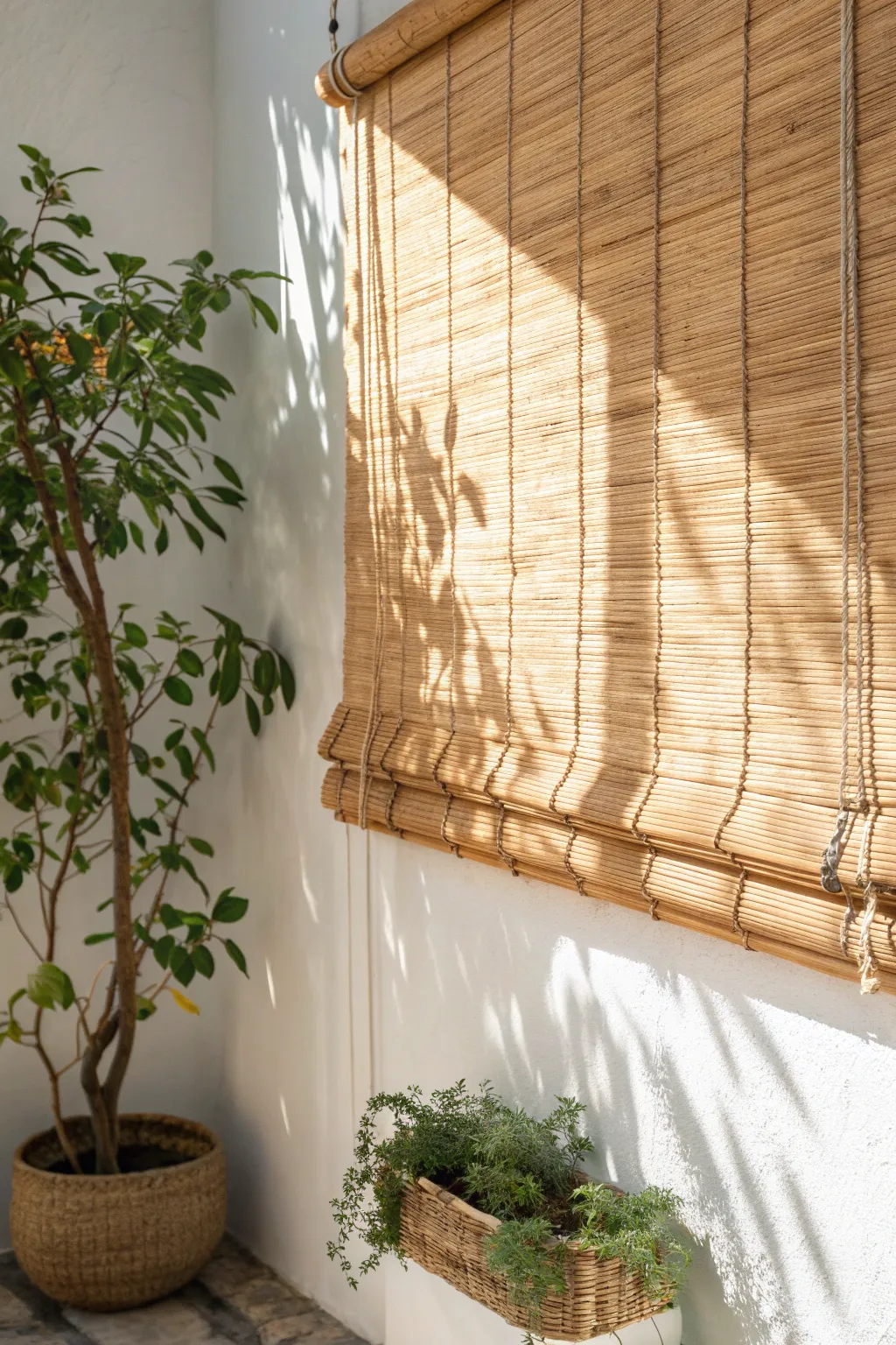 Elevate your space with the natural elegance of bamboo shades.