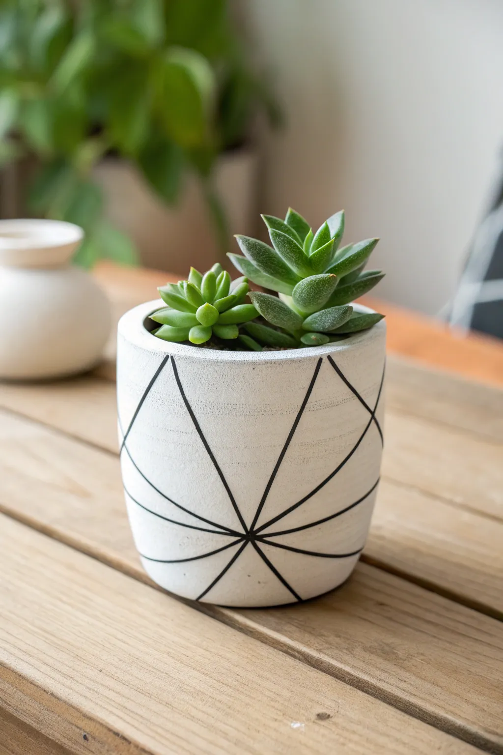Embrace simplicity with this chic minimalist succulent pot design—where Scandinavian elegance meets boho charm.