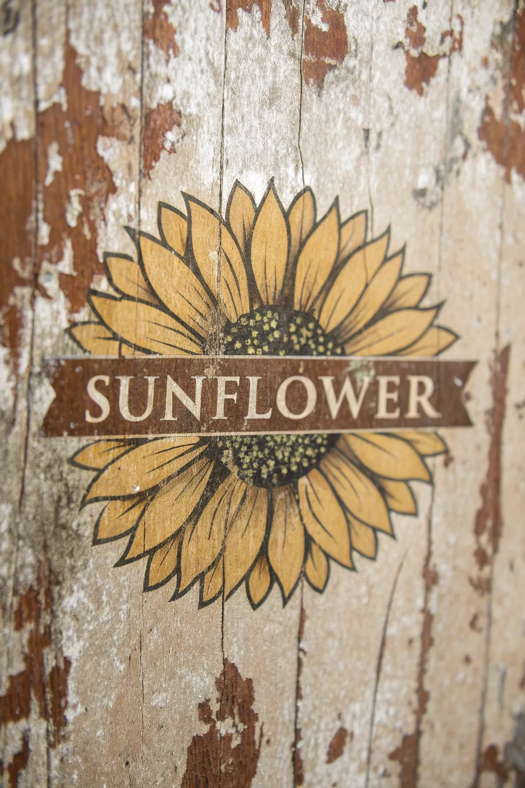 Vintage vibes with a rustic sunflower logo design.
