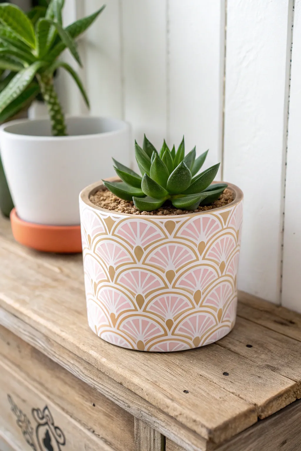 Elevate your greenery with chic patterned vinyl planters—where simplicity meets style.