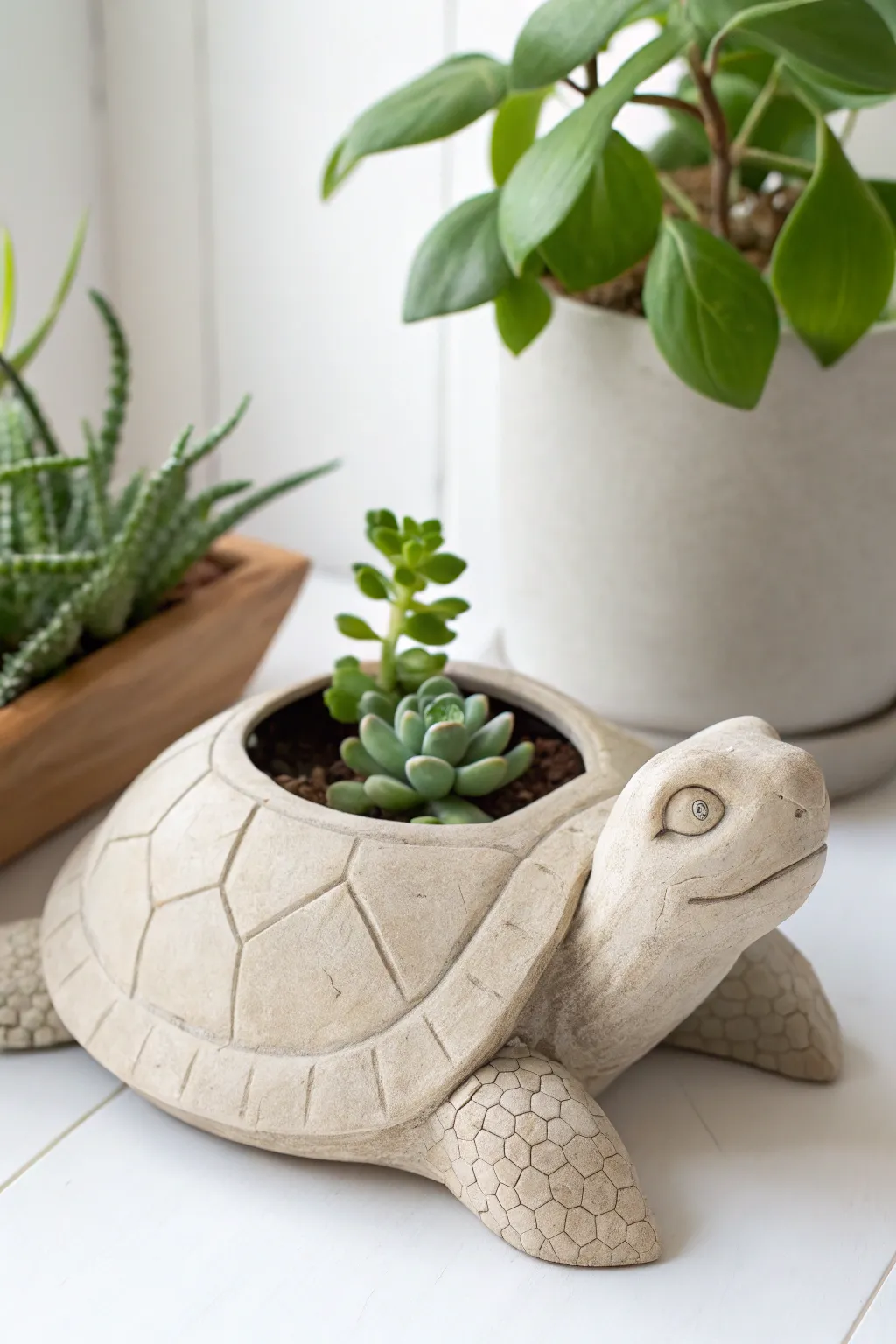 Embrace whimsy and simplicity with this charming clay turtle planter, a perfect blend of minimalist design and boho elegance.