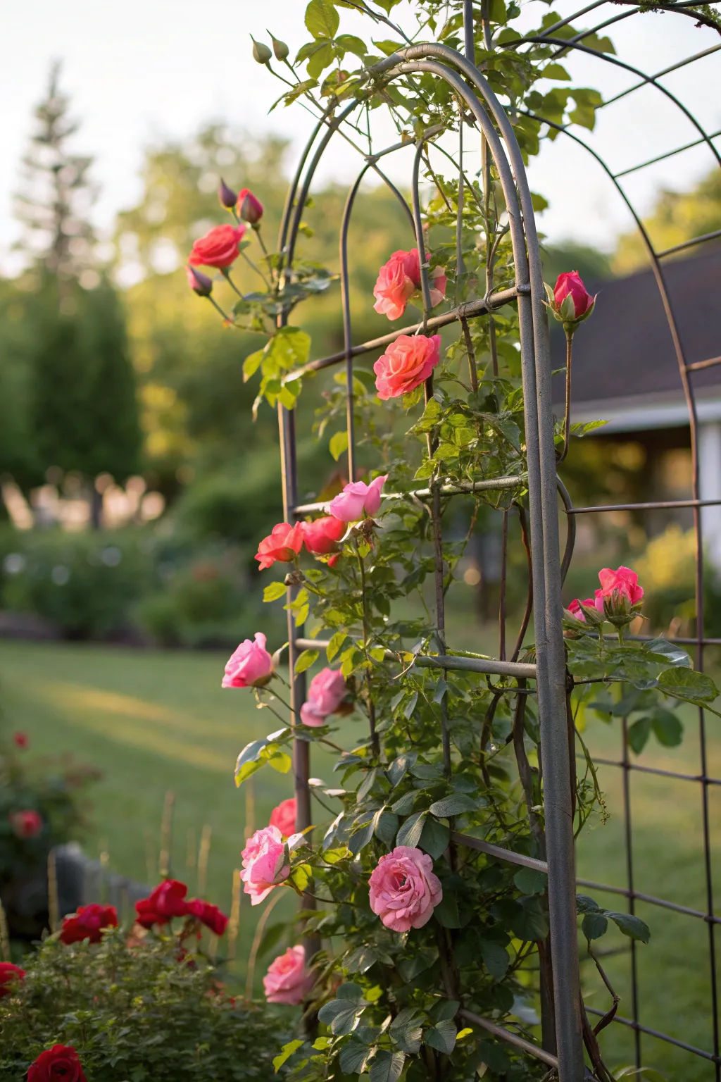 Transform your garden with a stunning hog wire trellis, where craftsmanship meets natural beauty.