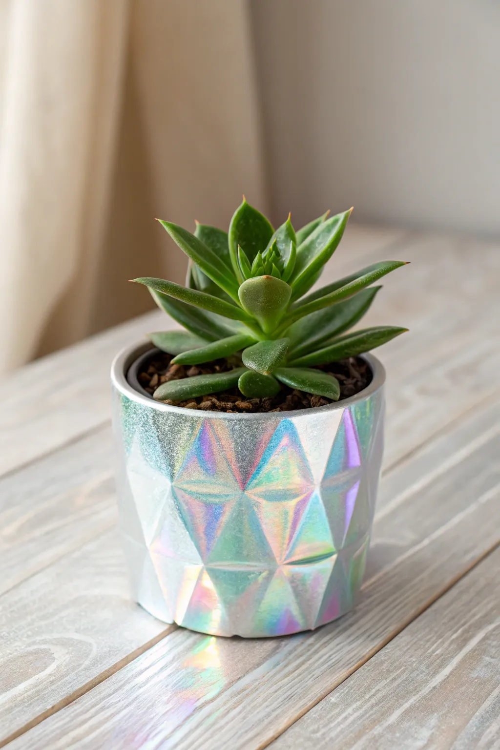 Transform your plant display with the magic of holographic vinyl. 🌿✨