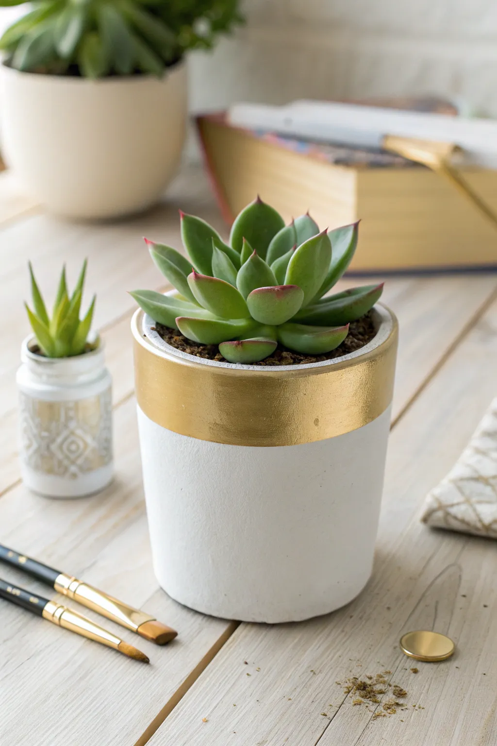 Elevate your succulents with a touch of gold. Simple elegance meets modern charm.